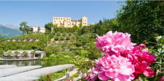 Merano (Bz), di primavera al Castel Trauttmansdorff sbocciano le fioriture ai Giardini di Sissi