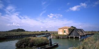 Parco Delta del Po (Fe), al via Primavera Slow 2018 con tanti eventi tra birdwatching e turismo naturalistico