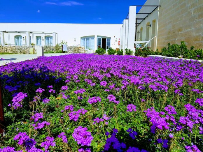 ph fb Relais Masseria Le Cesine - CDSHotels-1