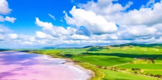 South Australia, per immergersi nel fenomeno suggestivo e sognante dei laghi rosa