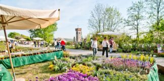 Lonato del Garda (Bs), tutto pronto per l’ XI edizione di FIORInellaROCCA