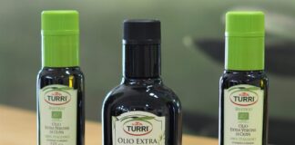 Cavaion Veronese (Vr), Oleificio Turri mette natura, cultura e tradizioni olearie in bottiglia