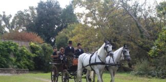 Friuli Venezia Giulia, alla scoperta delle dimore storiche, anche con tour in carrozza d’epoca