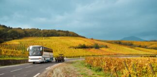 Strada del Franciacorta, da visitare e gustare anche con tour in bus