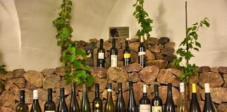 Trentino, a Cembra è proposta la 31^edizione di Müller Thurgau, Vino di montagna