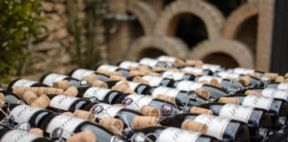 Trentino Alto Adige, organizza l’evento Cantine Aperte 2018