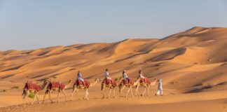 Abu Dhabi, da vivere tra mare, natura ed eventi di intrattenimento e cultura