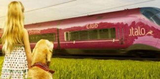 Italo ed Amici Cucciolotti, d‘estate 2018 i cani viaggiano gratis ad alta velocità