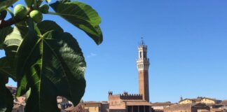Toscana Arcobaleno d’Estate, al via la 6^edizione dell’iniziativa