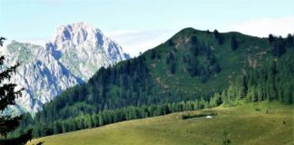 Friuli Venezia Giulia, nelle malghe in Carnia per scoprire un mondo genuino e di sapori dimenticati