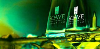 Verona, il Consorzio per la tutela vini Soave e Recioto di Soave organizza Soave Versus 2018