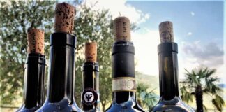 La guida The WineHunter Award di Helmuth Köcher è consultabile online
