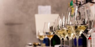 Bassano del Grappa (Vi), al via la 2^edizione del Bassano Wine Festival