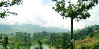 Sri Lanka, terra magica fatta di natura, tradizione, ambiente e religiosità