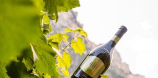 Cantina Tramin, presenta Troy il nuovo Chardonnay Riserva 2015 da vigneti in quota