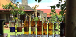 Mauritius, alla scoperta dell’entroterra tra natura sorprendente e degustazioni lungo la via del Rum