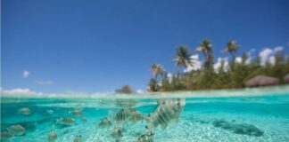 Isole di Tahiti, vivere le suggestioni di lagune e cieli infiniti a Rangiroa