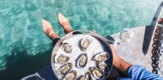 South Australia, con Tasting Australia 2019 alla scoperta dei sapori più autentici