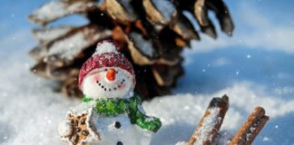 Valle del Serchio (Lu), al Ciocco Tenuta e Parco tanti appuntamenti per la stagione invernale 2018-2019
