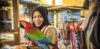 Con Shop Qatar, una vacanza in gennaio 2019 tra eventi, divertimento e shopping