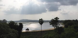 Sri Lanka, un viaggio tra natura, storia e cultura proposto da KiboTours
