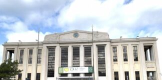Trieste, alla fiera Olio Capitale 2019, protagonista la Campania