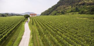 Franciacorta, da vivere in primavera 2019