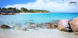 Sardegna, con Girotonno, Carloforte capitale del velocista del mare