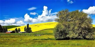 Idaho, presenta le grandi produzioni di birre e vini di qualità