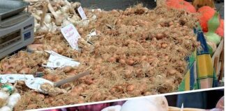 Emilia-Romagna, d’estate 2019 celebra il gusto inconfondibile di cipolla e scalogno