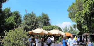 Grado, d’estate 2019 appuntamenti gourmet Fish nic sull’isola Valle del Moro