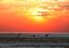 Namibia, con KiboTours per vivere un’avventura suggestiva