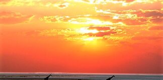 Namibia, con KiboTours per vivere un’avventura suggestiva