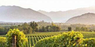 Franciacorta, tutto pronto per il Festival in Cantina 2019