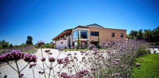 Azienda Agricola Montonale (Bs), la tradizione vitivinicola esalta l’eccellenza del Lugana