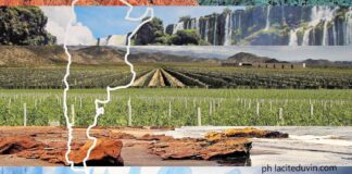 Bordeaux, la Cité du Vin accoglie la mostra “Argentina, terra di contrasti”