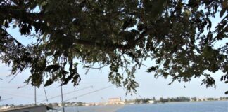 Comacchio (Fe), tutto pronto per la Sagra dell’Anguilla 2019