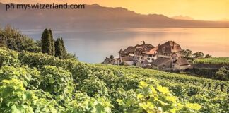 Svizzera, d’autunno 2019 alla scoperta delle eccellenze vitivinicole