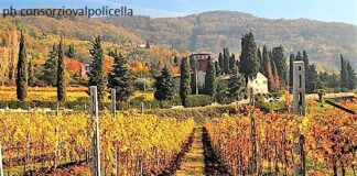 Sulle strade del vino in Valpolicella d’autunno 2019, soggiornando a Villa del Quar