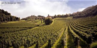 Breganze (Vi), a gennaio 2020 continua la tradizionale celebrazione della Prima del Torcolato