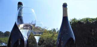Azienda vitivinicola Ronco Calino (Bs), ha presentato il primo Franciacorta bio ed il nuovo look delle bottiglie