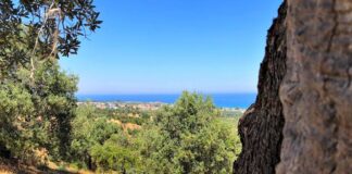 Mirto Crosia (Cs), Agriturismo Vulcano propone Weekend dell’Olio tra natura e prodotti tipici