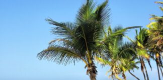 Cuba, trascorrere Natale 2019 Capodanno 2020 con Tour2000Americalatina