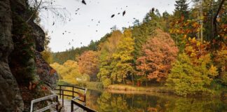 Repubblica Ceca, scoprire la natura della Valle di Luznice