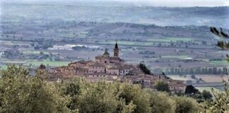 Umbria, andare per colline ed oliveti gustando il superbo Olio extra vergine di oliva Dop