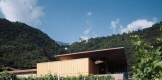 Nalles (Bz), la cantina Nals Margreid vinifica bianchi di carattere da uve Sauvignon