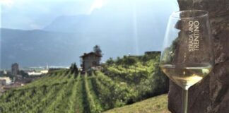 La Strada del Vino e dei Sapori del Trentino propone A tutto Müller 2020