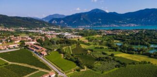 Provincia di Brescia, terra di antica cultura enologica e di grandi vini