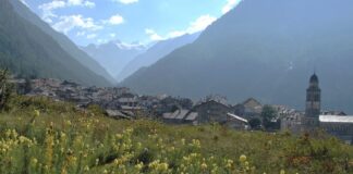 Valle di Cogne, per un’estate 2020 a tutta natura