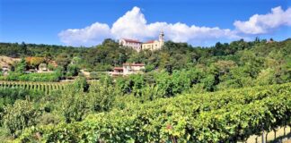Consorzio Tutela Vini Colli Berici e Vicenza, presentato il volume “Colli Berici–Le terre, le vigne, le ville”